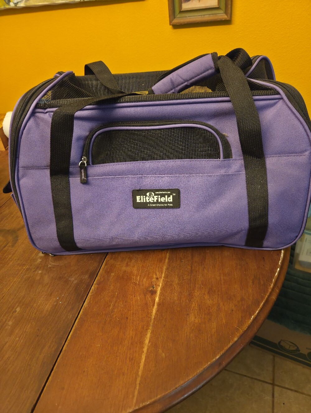 Pet Carrier Tote, Airline Approved